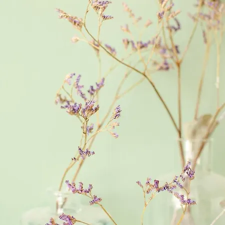 Amazing And Stylish House Near Center Dordrecht, Close To Rotterdam בית נופש *